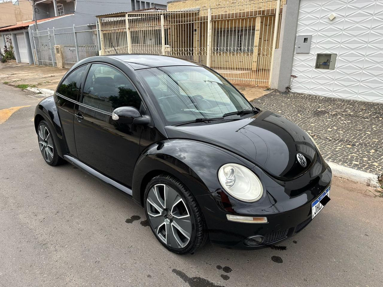 Beetle