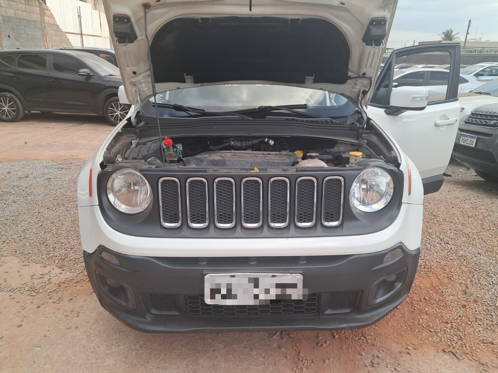 Renegade